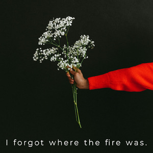 The Light Was Never Mine