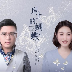 肩上的蝴蝶 (DJ何鹏版)