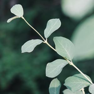 Barn har rätt att leva (feat. 3.2)