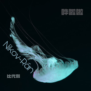 哗啦啦（Nikov.Rán remix）