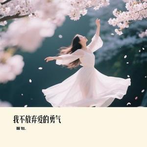 我不放弃爱的勇气 (面包. Remix)