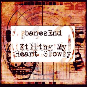 Killing My Heart Slowly