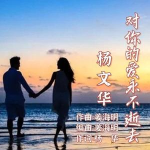 对你的爱永不逝去--杨文华--2