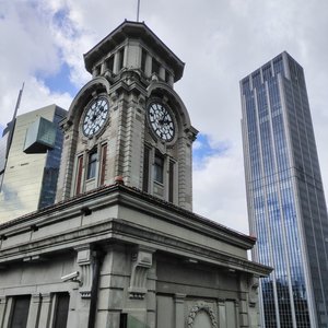 羊群在暮色中徘徊