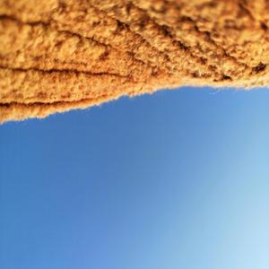 2月24日 失眠日记