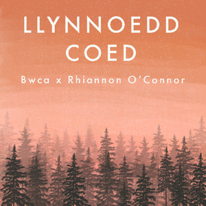 Llynnoedd Coed