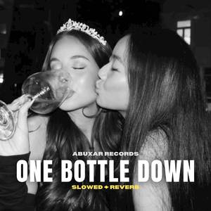 ONE BOTTLE DOWN [SLOWED + REVERB] - Yo Yo Honey Singh