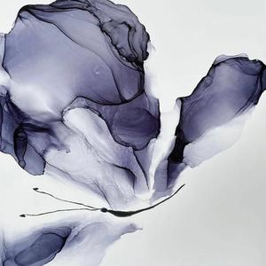 花好月圆夜（cover）