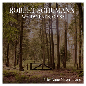 Waldszenen, Op. 82: IV. Verrufene Stelle