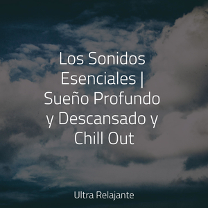 Sueños Lúcidos