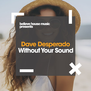Without Your Sound (Original Mix)