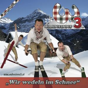 Wir Wedeln im Schnee (Radio Edit)