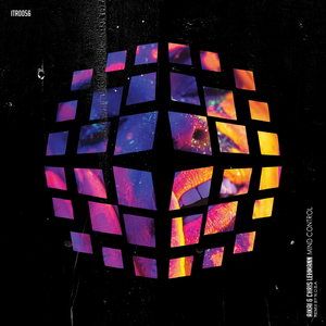 Mind Control (N.O.B.A Remix)