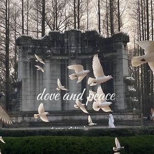 子弹飞过变成白鸽