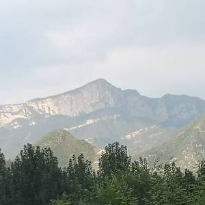 高塔之上（demo）