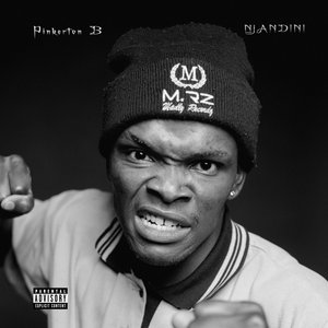 Nizongenzani