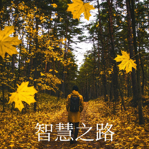 智慧之路