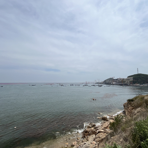 浪华之歌 本能寺我的家乡