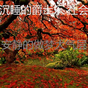 温和睡眠梦想