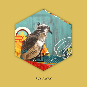 Fly Away