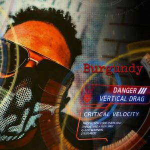 BURGUNDY ( BOURGOGNE )