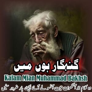 Gunahgar Hu Main Punjabi Kalam Mian Muhammad Bakhsh Saif ul Malook