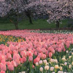 把爱写成专辑（Prod.BECU BEATZ）