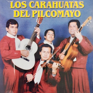 P'al Tio Pala