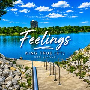 Feelings