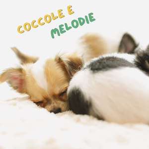 Coccola Dolce