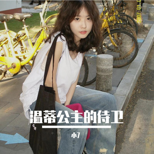 温蒂公主的侍卫