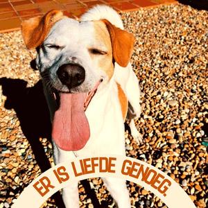 Er is liefde genoeg