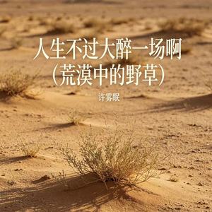 人生不过大醉一场啊（荒漠中的野草）