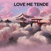 David Wilson - Love Me Tende (Acoustic)