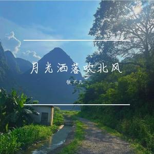 月光洒落吹北风