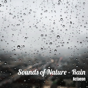 Sounds of Nature - Rain