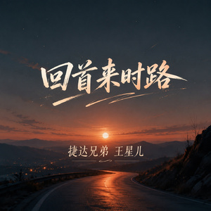 回首来时路