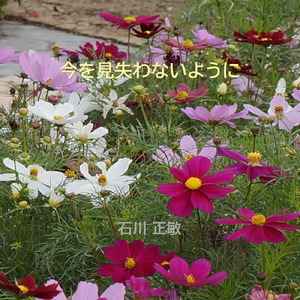 今を見失わないように (feat. 花隈千冬)