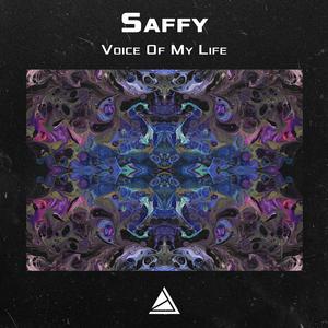 Voice of My Life