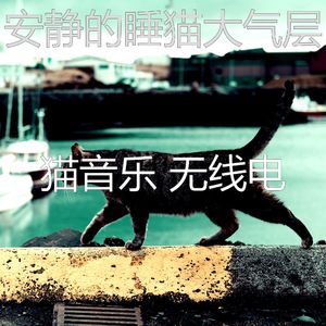 微妙的猫午睡时间心情