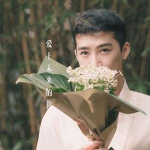爱上未来的你