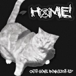 CAUGHING UP A HAIR BALL ON YOUR BLOATING BODY