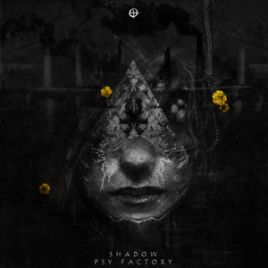 Psy Factory (Original Mix)