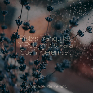 Canciones de cuna tocadas al atardecer