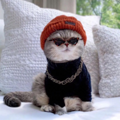 大花轿卡点 (DJ版)