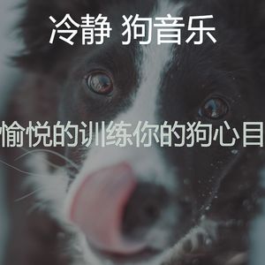 有趣幼犬情怀