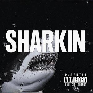Sharkin