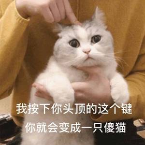 粉wu海（翻自 四字弟弟。）