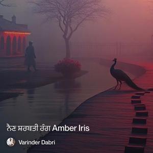 ਨੈਣ ਸ਼ਰਬਤੀ ਰੰਗ Amber Iris