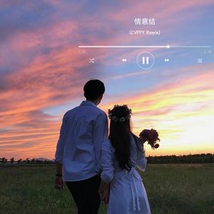邓岳章-情意结（CVPPY Remix）
